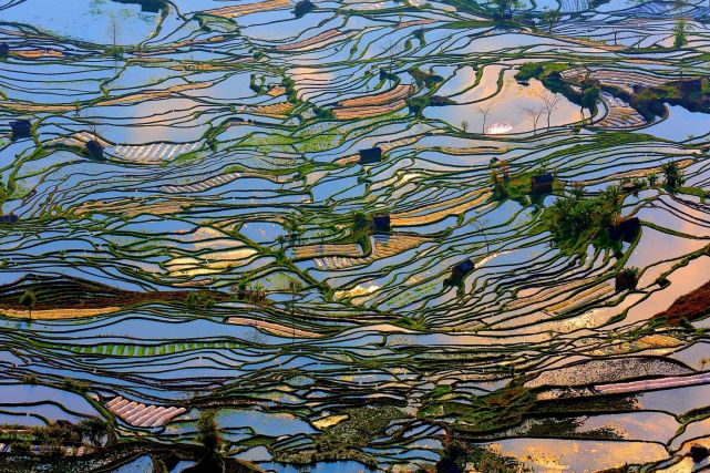 暑假想去云南旅游，有哪些旅游城市可以推薦