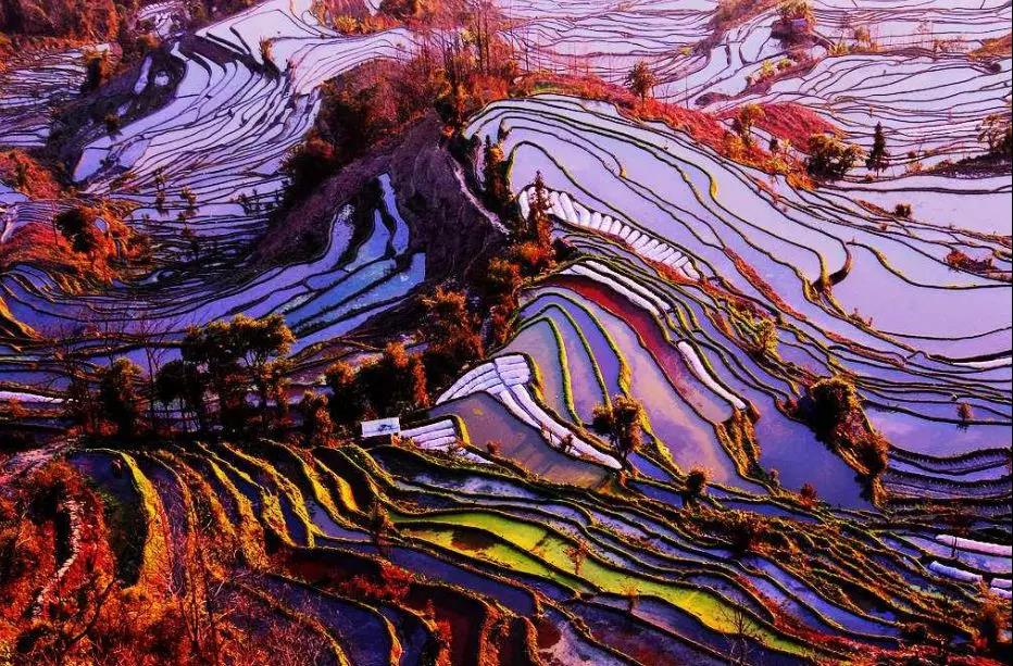 五一首發：云上紅河，開啟夢想之旅！
