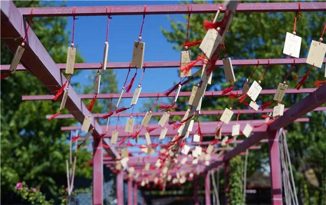 賞花親水、荷塘野趣……楚雄東華濕地公園許你一個繽紛夏日