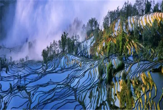云南傳媒公司：元陽梯田最佳觀賞期到啦！哈尼族1300年歷史結晶，究竟有多美？