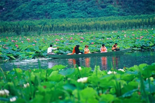 2022普者黑夏令營：山水田園，萬畝荷花游學，探訪彝族古村，感知民族文化！