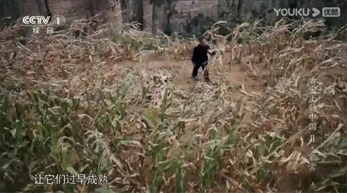 趣說人文歷史｜康乾盛世，“番薯盛世”？