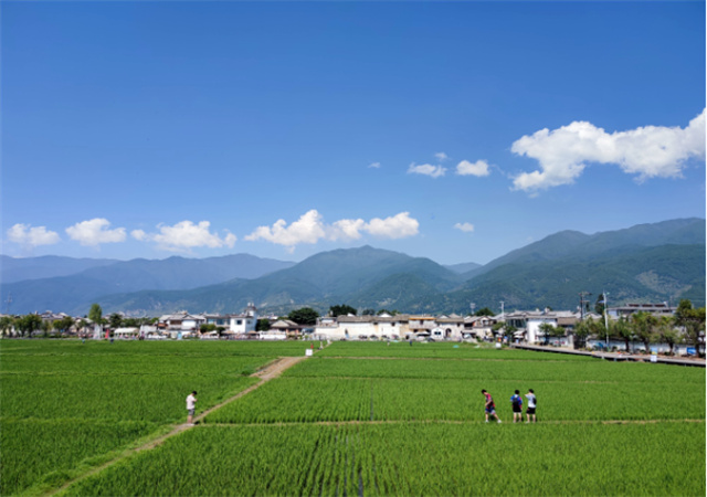 【聚焦旅交會 相約游大理】喜洲古鎮：在蛙鳴蟲叫的稻田間 讓生活慢下