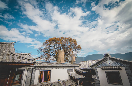 春節云南特輯 | 人少景美！春節云南旅游線路推薦三