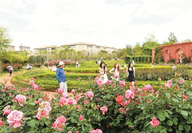 云南旅游,云南旅行社,云南團建公司,云南策劃公司,云南會議公司,昆明旅游,昆明旅行社,昆明團建公司,昆明策劃公司,昆明會議執行：旅居昆明，在花海里通關四季！花歷正在更新，等你來簽收春天→
